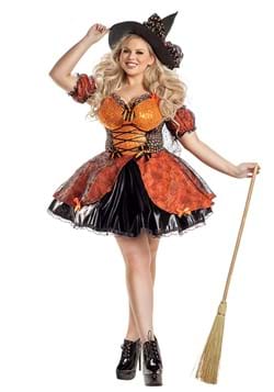 Womens Plus Size Harvest Witch Costume